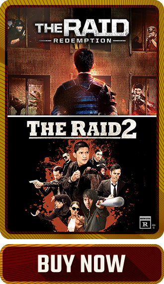 The Raid 2 Movie Collection